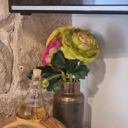 Apartamento Heritage Trumbic Split