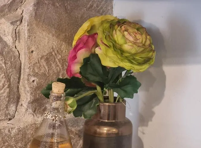 Apartamento Heritage Trumbic Split